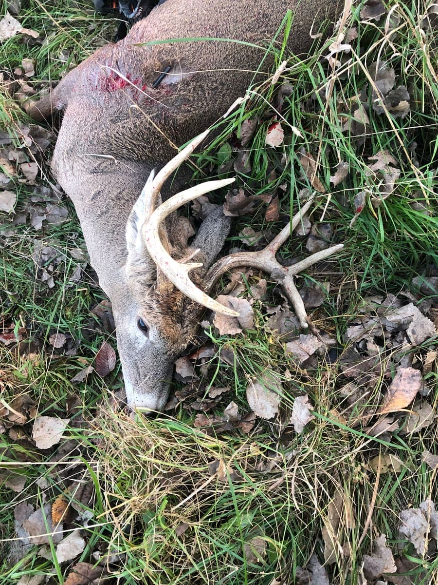Client harvest 22