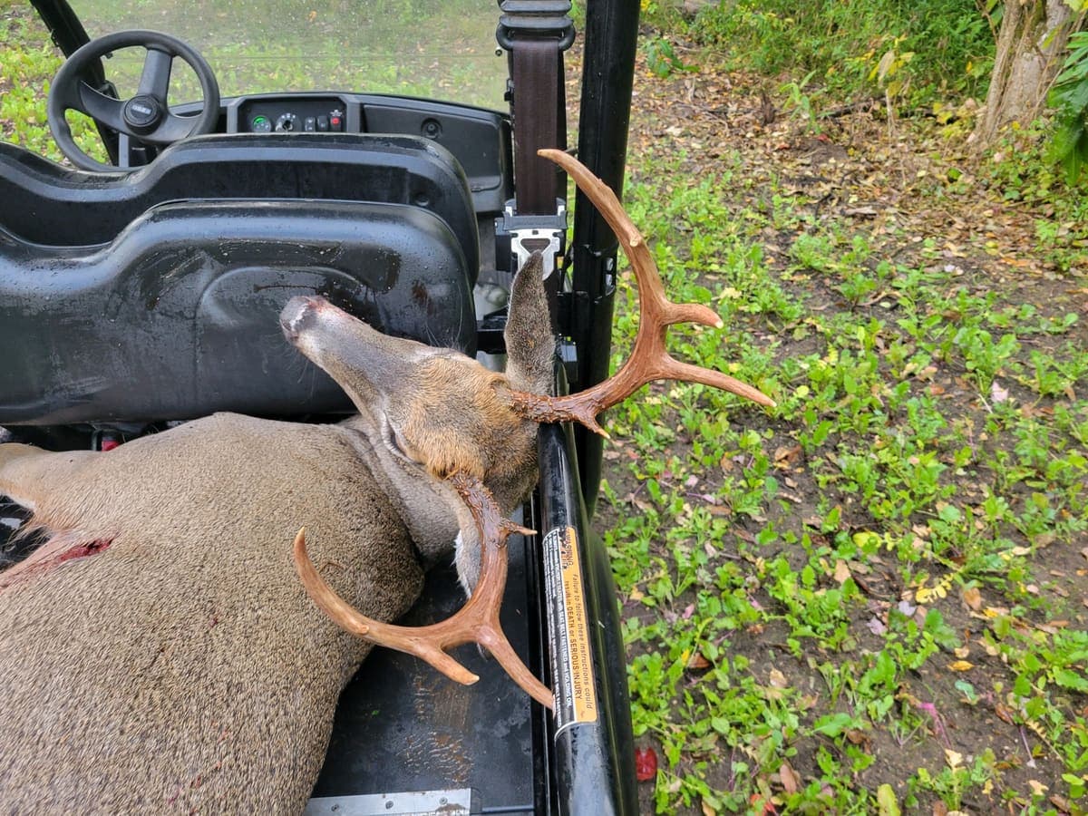 Client harvest 6